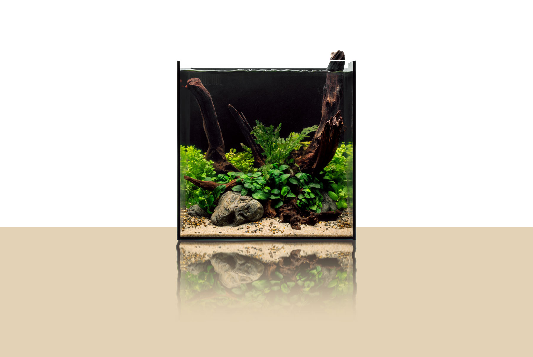 Small Desktop Mini Ecosystem Tank Acrylic Fish Tank