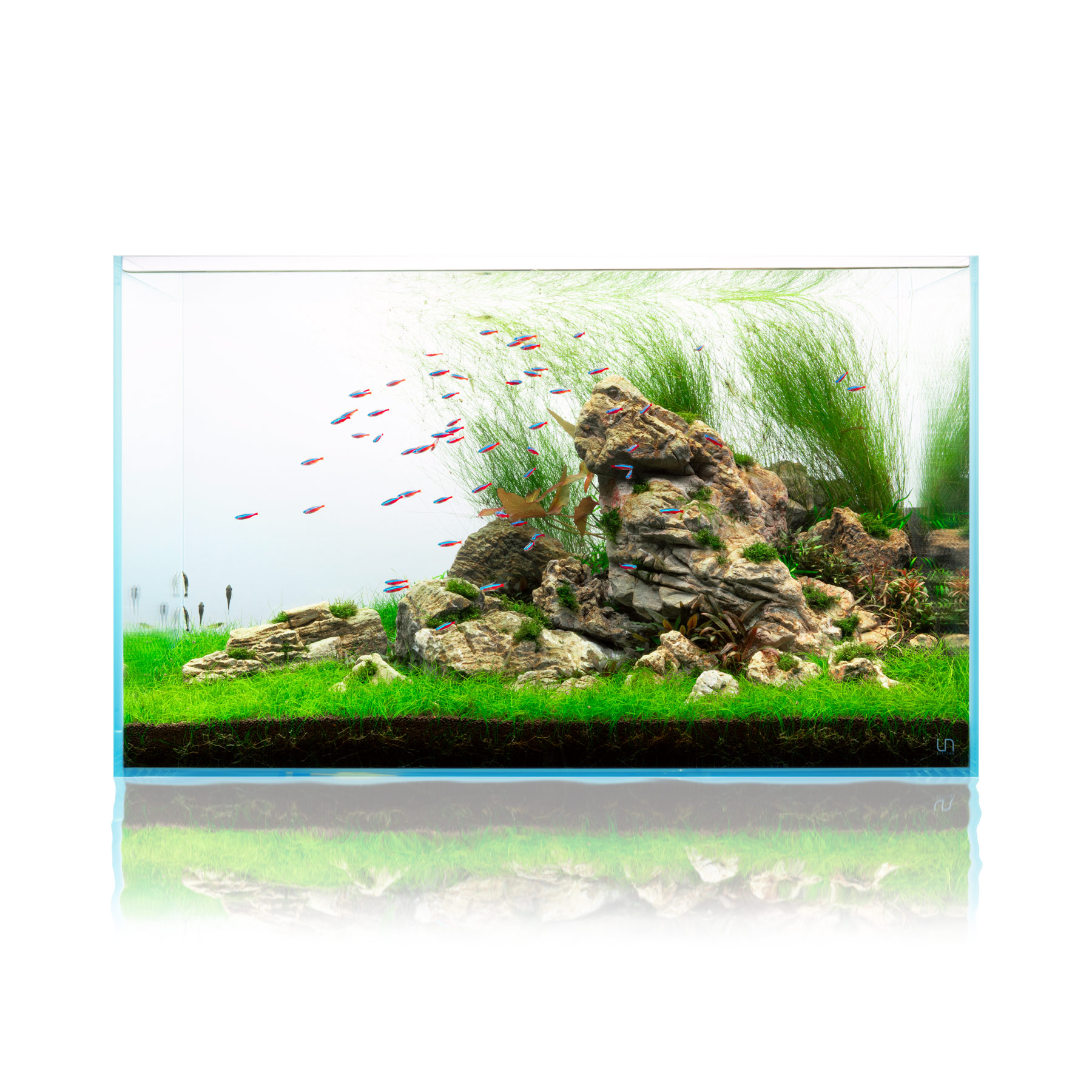 Ultum Nature Systems UNS 75p Planted Aquarium Tank Iwagumi