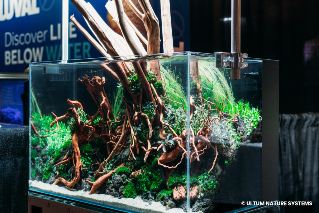 Ultum Nature Systems UNS 60A All-In-One Planted Aquarium Tank Aquashella