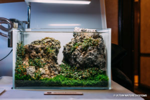 Ultum Nature Systems UNS 3N Nano Planted Aquarium Aquashella