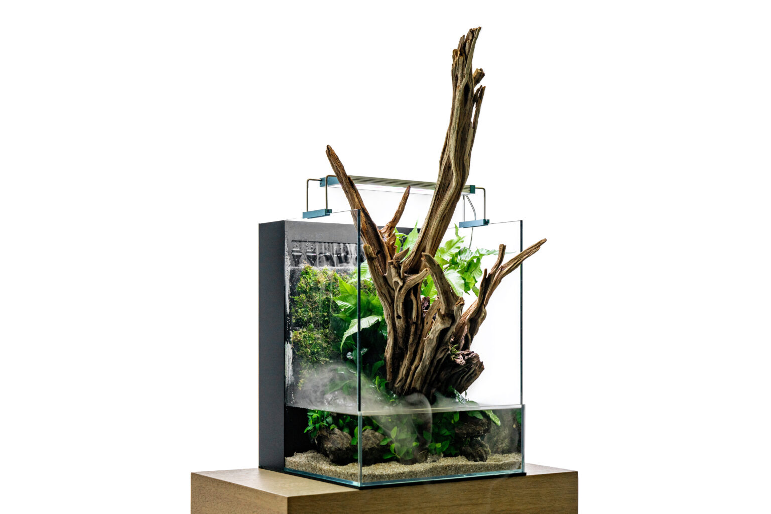 Introducing The Foresta Paludarium – Ultum Nature Systems