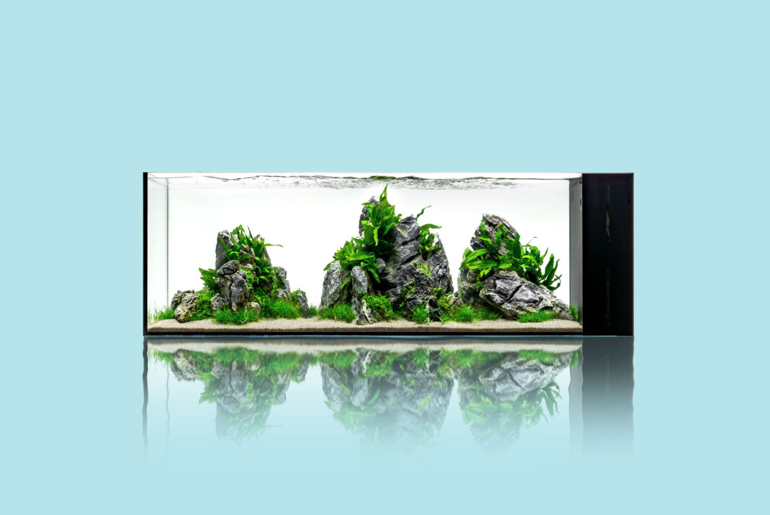 All-In-One Aquarium Maintenance photo