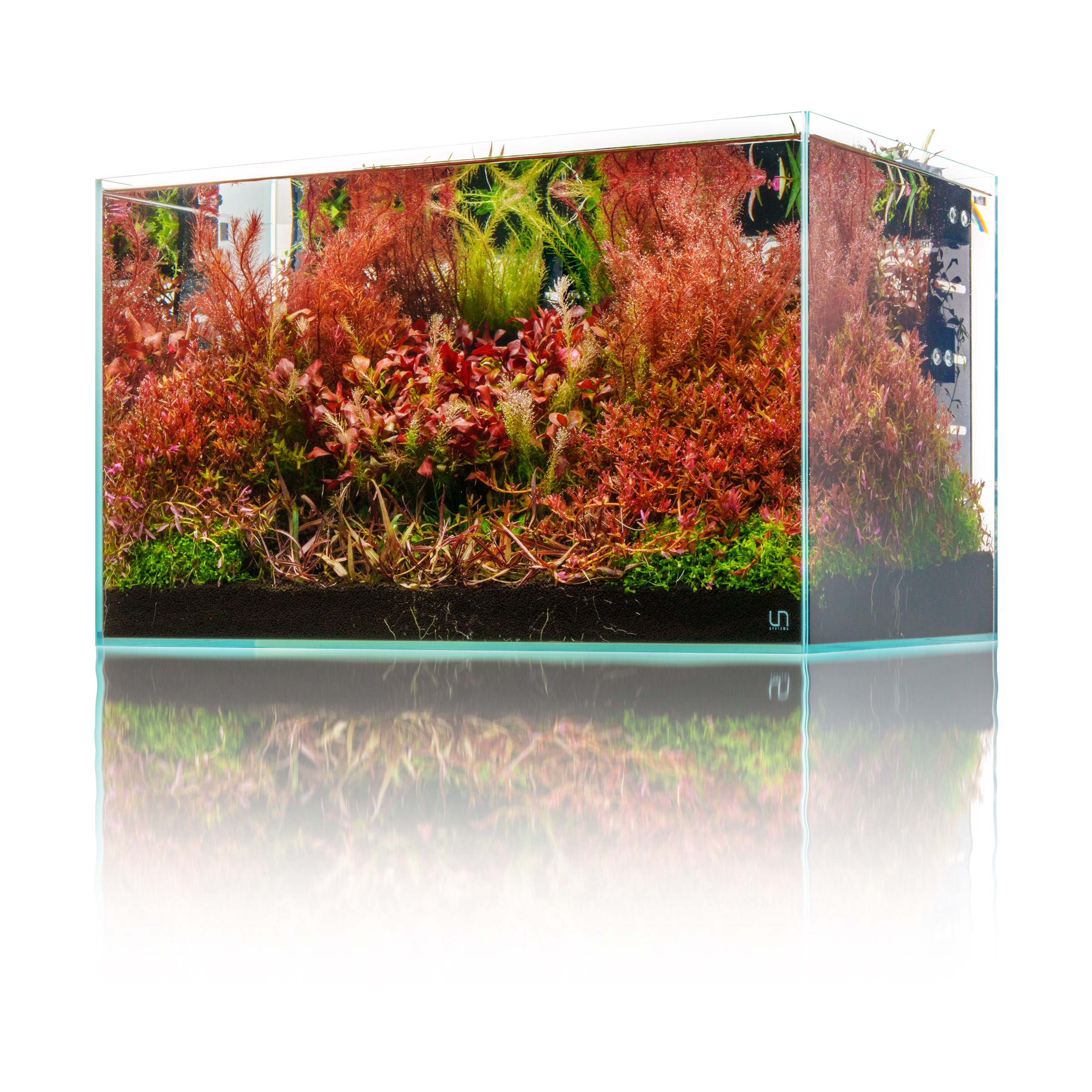 60U-Terrace-Planted-SIDE-Reflection-2